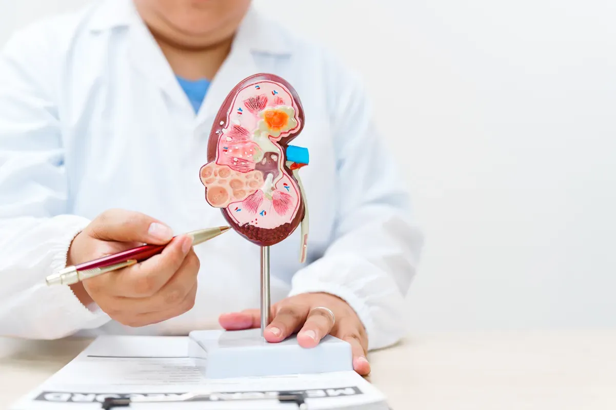 What You Need to Know About Kidney Failure: Causes and Treatment Options