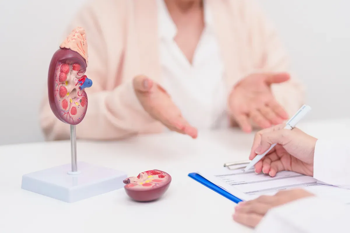 Chronic Kidney Disease Treatment: CKD Lifestyle Adjustments