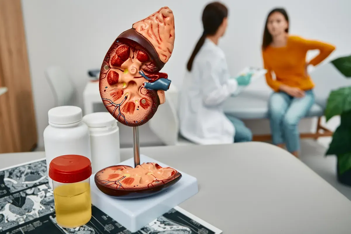 How to Choose the Right Kidney Dialysis Treatment Option?