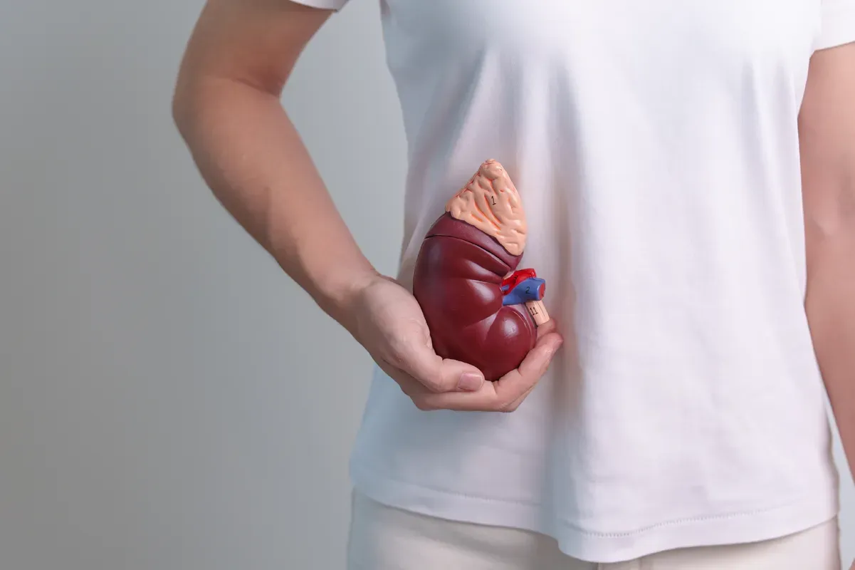 Kidney Failure Symptoms and Treatment