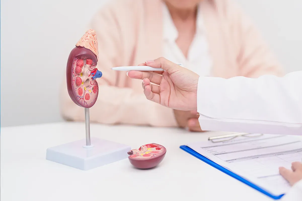 Kidney Dialysis Treatment: What to Expect