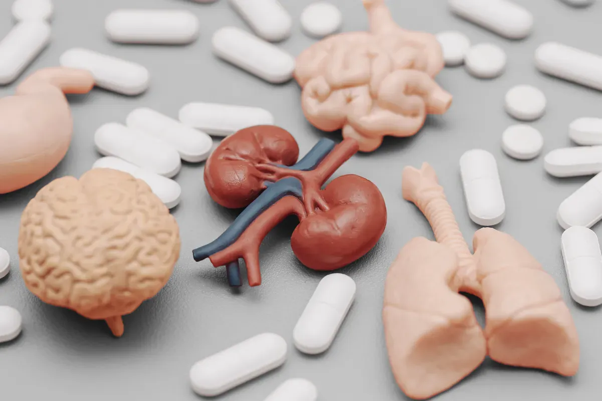 Diet and Lifestyle Tips for Managing Proteinuria