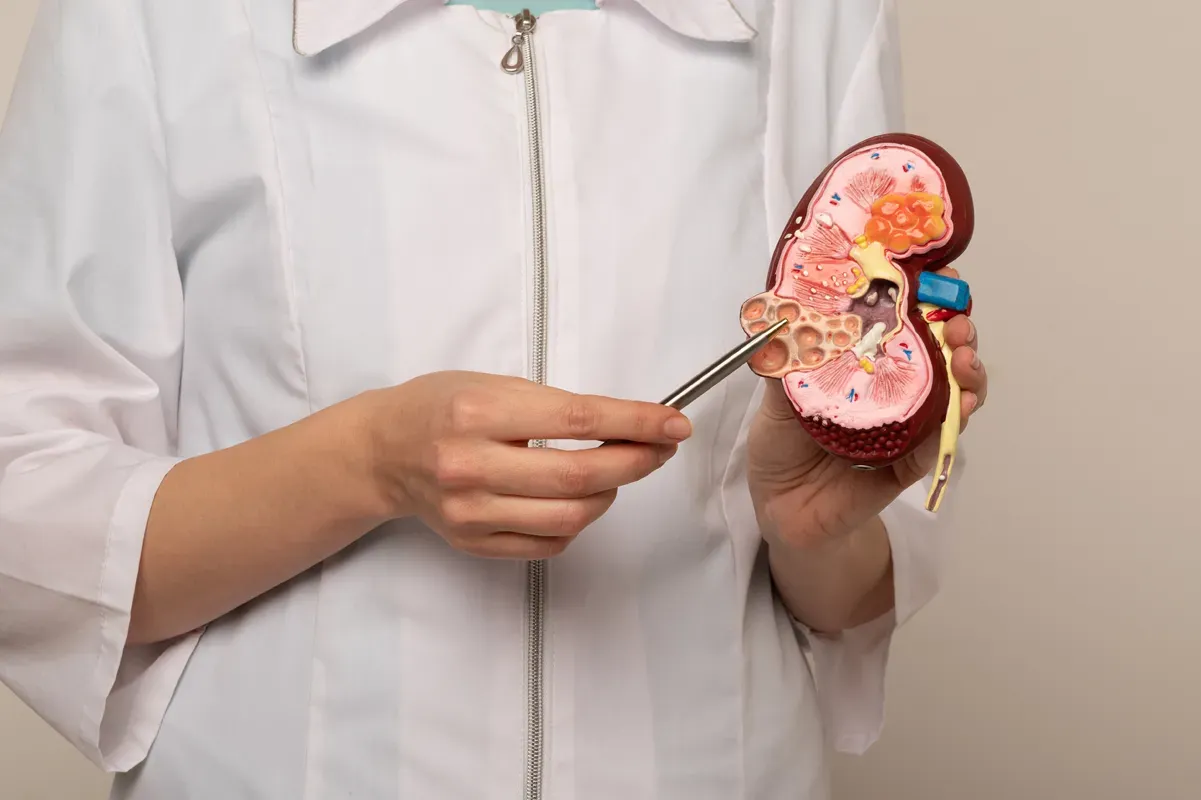 Guide to Find a Suitable Nephrologist or Kidney Specialist in Singapore