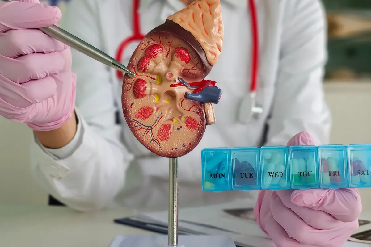 Kidney Health Tips by a Nephrologist in Singapore