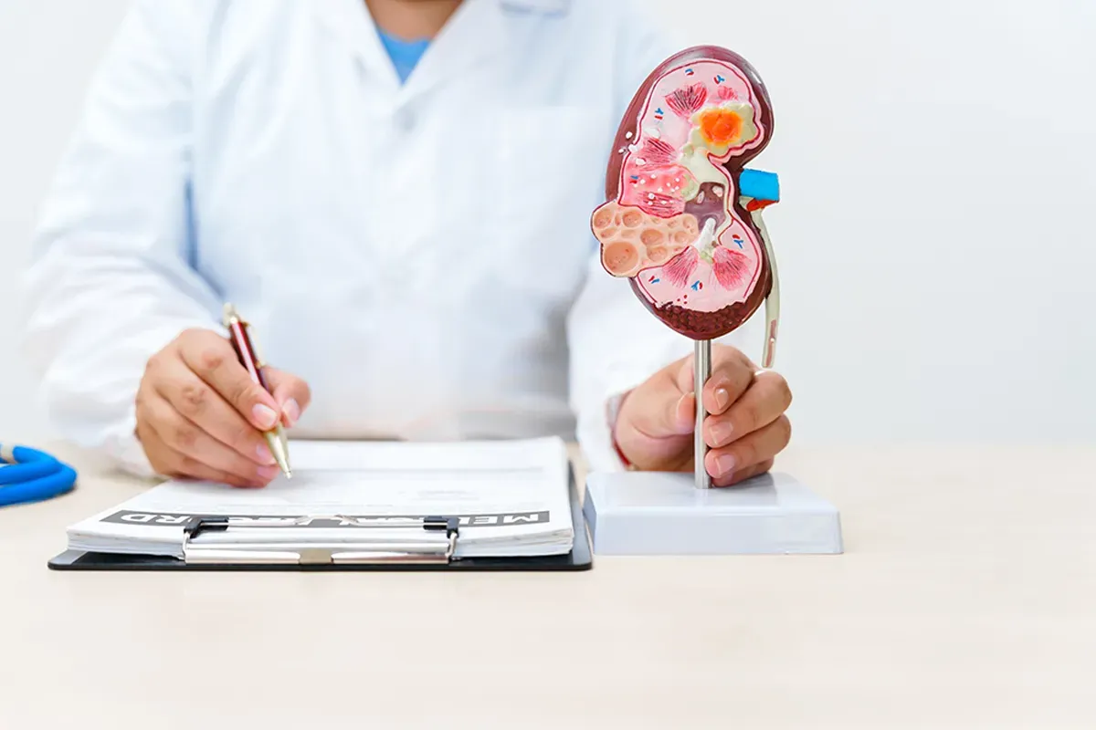 The Different Approaches to Haemodialysis