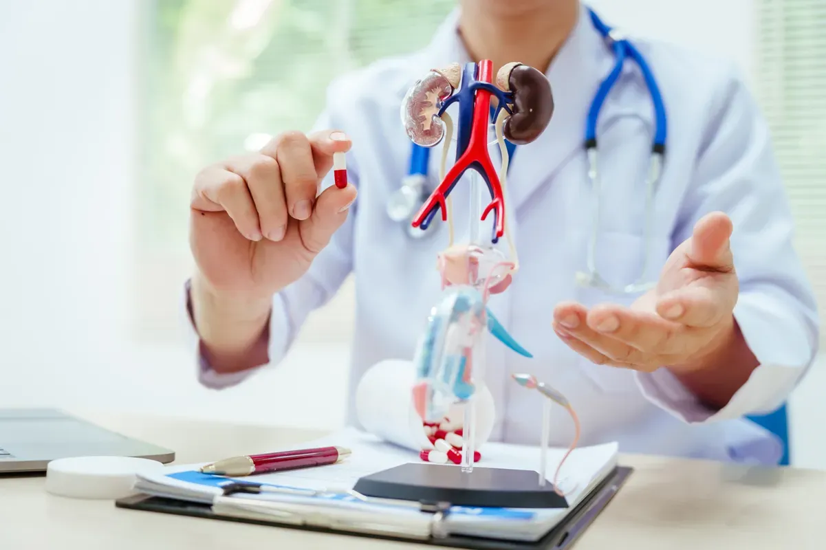 Preventing Kidney Inflammation: Tips and Strategies