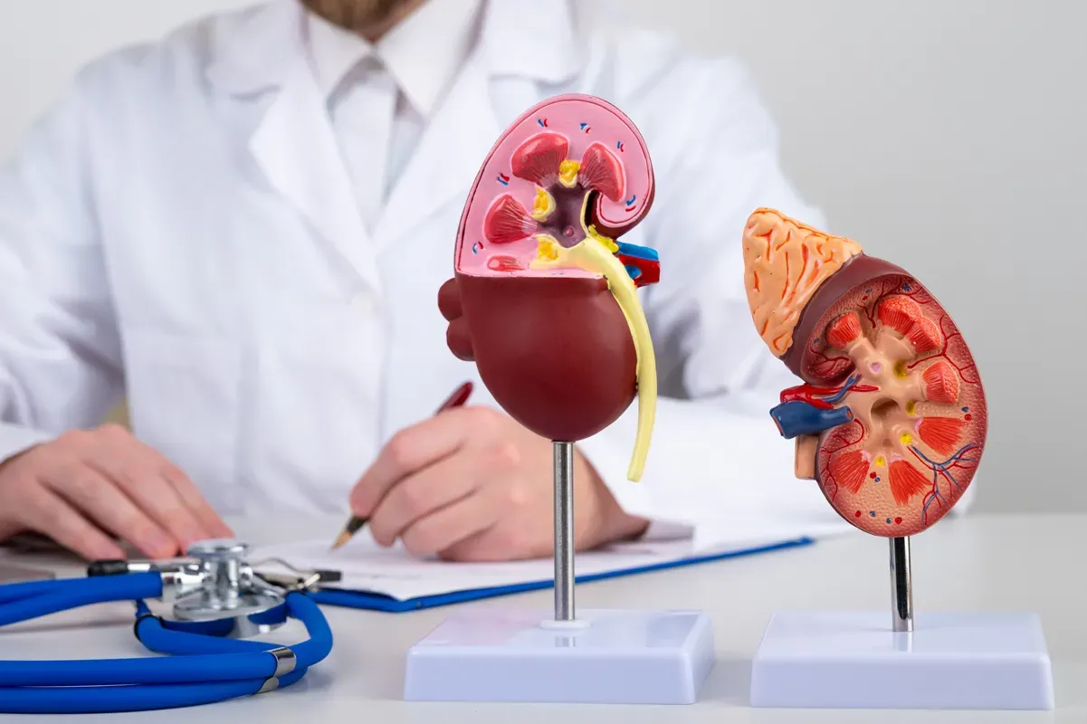 Kidney Transplantation: Addressing Kidney Failure and Treatment
