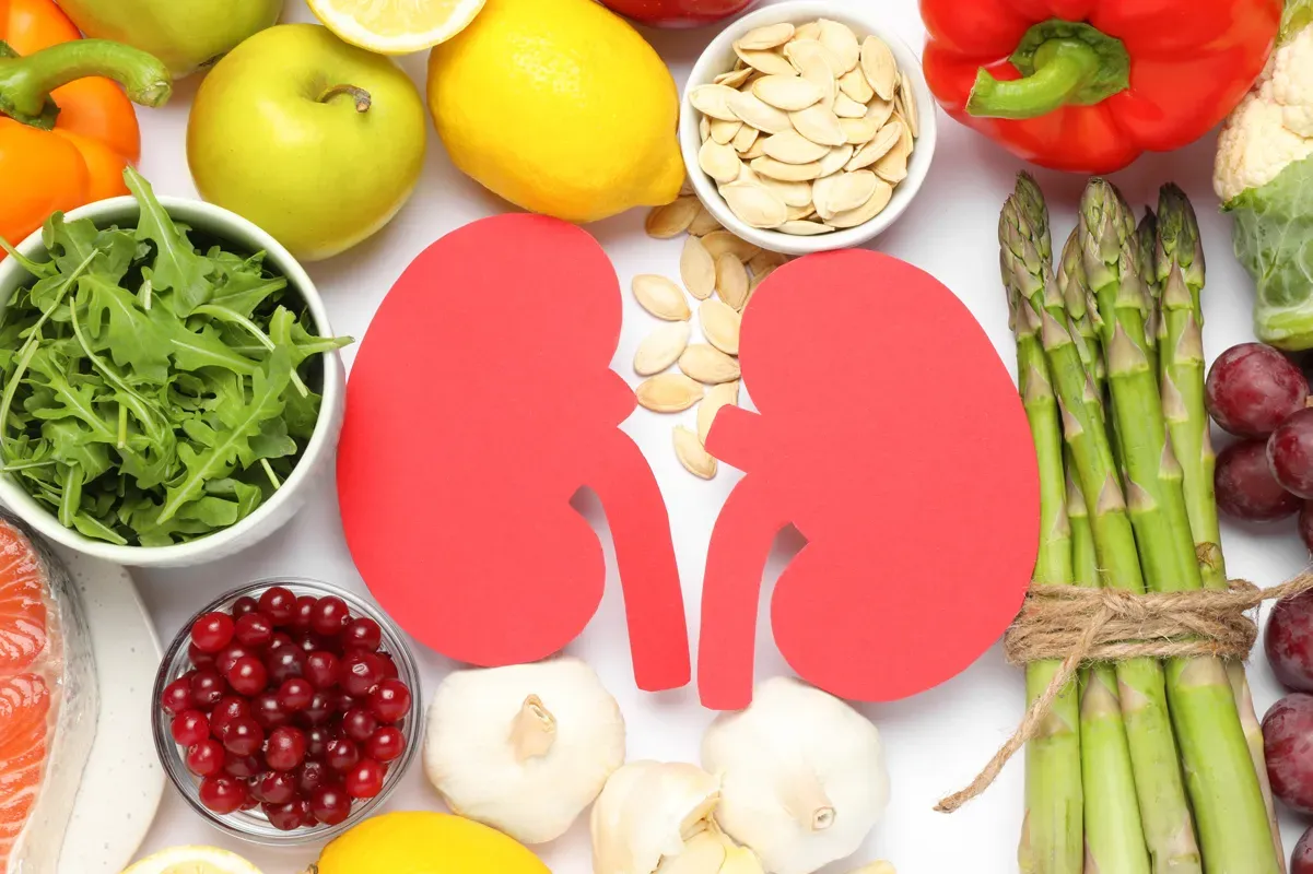 Renal Diet for Healthy Kidneys by a Kidney Specialist