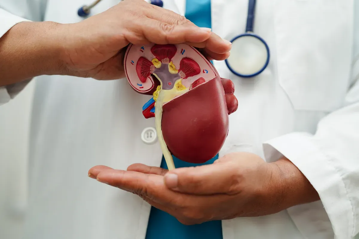 Staying on Top of Chronic Kidney Disease (CKD) Progression