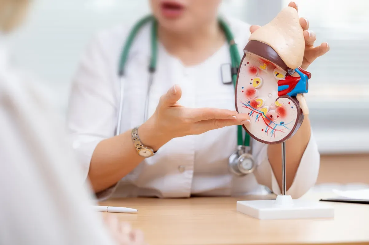 Care Tips from Renal Specialists to Good Kidney Health