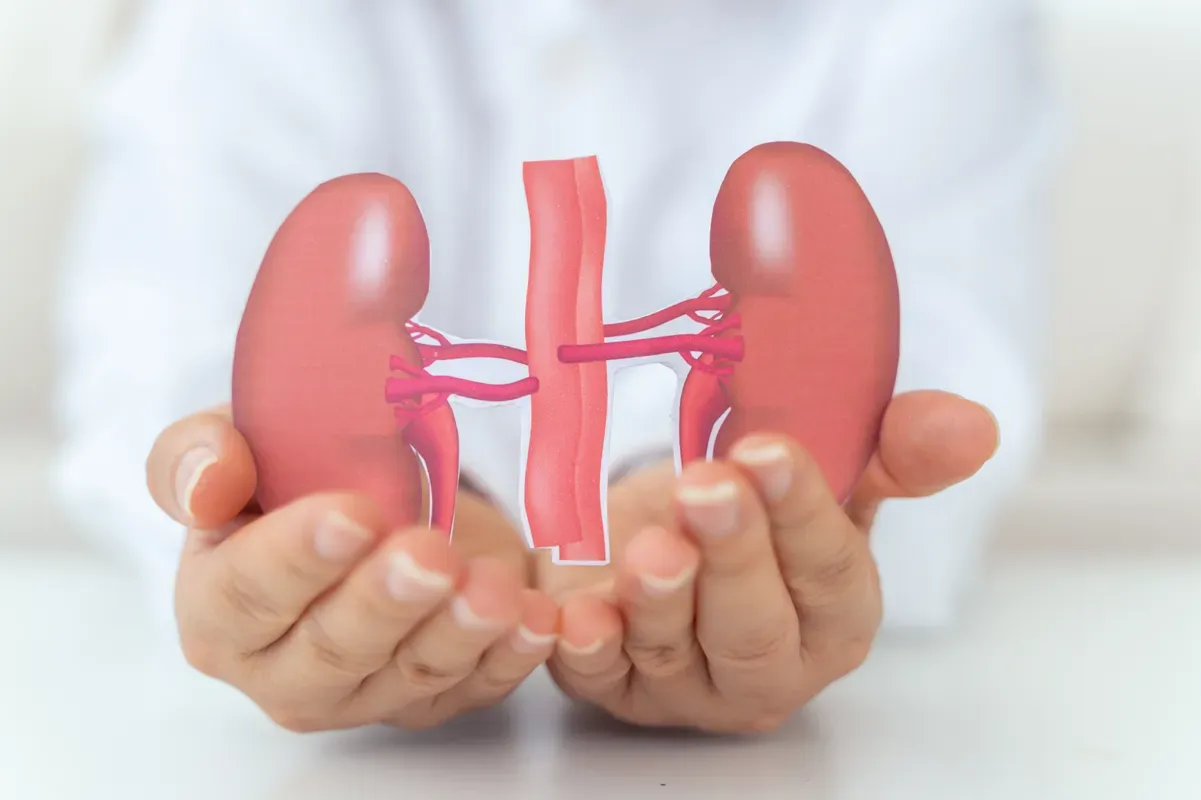 Saving Your Kidneys: Treating Acute Kidney Injury & Kidney Failure