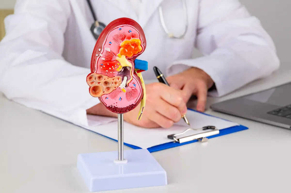 Treatment Options for Kidney Failure or Kidney Disease